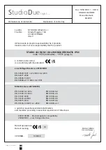 Предварительный просмотр 20 страницы STUDIO DUE 1950 User Manual