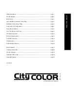 STUDIO DUE CITYCOLOR 2500 IP54 Manual preview