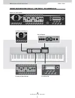 Preview for 30 page of Studiologic VMK-188 Plus Instruction Manual