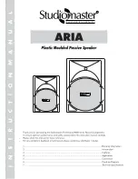 Studiomaster ARIA 12 Manual предпросмотр