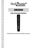 Studiomaster SM3001 Manual preview