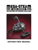 STX Mega-Steam 4000 SX2 Instruction Manual preview