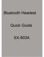 Suicen SX-803A Quick Manual preview