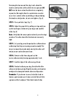 Preview for 7 page of Sunbeam Mini Bark Control Collar Instruction Manual