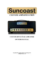 Suncoast CUSTOM 18P Owner'S Manual preview