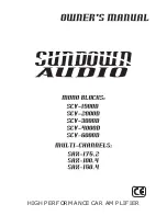 Sundown Audio SAX-100.4 Owner'S Manual preview