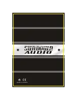 Предварительный просмотр 12 страницы Sundown Audio SAZ-1000D Owner'S Manual