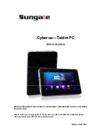 Sungale Cyberus Instruction Manual preview