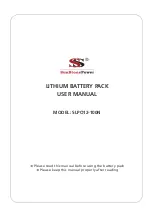 SunStone Power SLPO12-100N User Manual preview