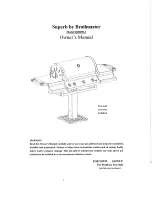 Предварительный просмотр 1 страницы Superb SBH600-1 Owner'S Manual