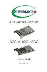 Preview for 1 page of Supermicro AOC-A100G-b2CG User Manual