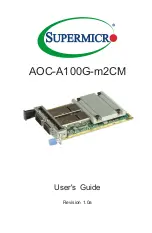 Supermicro AOC-A100G-m2CM User Manual предпросмотр