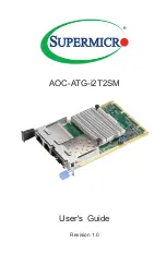 Supermicro AOC-ATG-i2T2SM User Manual предпросмотр