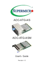 Supermicro AOC-ATG-i4S User Manual preview