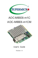 Preview for 1 page of Supermicro AOC-MIBE6-m1C User Manual