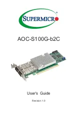 Предварительный просмотр 1 страницы Supermicro AOC-S100G-b2C User Manual