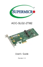 Supermicro AOC-SLG2-2TM2 User Manual preview