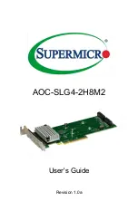 Supermicro AOC-SLG4-2H8M2 User Manual preview