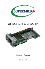 Supermicro AOM-C25G-i2SM-12 User Manual preview