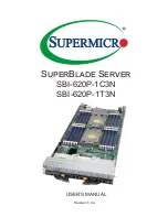 Supermicro SuperBlade SBI-620P-1C3N User Manual предпросмотр