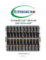 Supermicro SuperBlade SBS-820H-420P User Manual preview