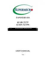 Supermicro SUPERSERVER 6018R-TDTP User Manual preview