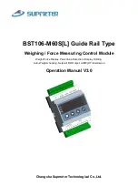 Supmeter BST106-M60S(L) Operation Manual preview