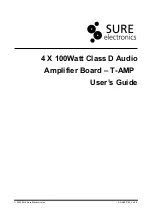 Sure Electronics T-AMP User Manual preview