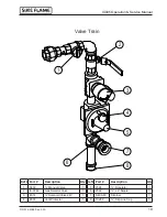 Предварительный просмотр 19 страницы Sure Flame IX405 Operation And Maintenance Manual