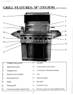 Предварительный просмотр 5 страницы Sure Heat Tuscany Elite TEGR30 Use And Care Manual