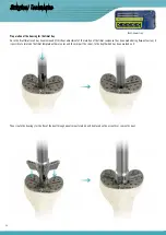 Preview for 28 page of Surgival Genutech CCK Surgical Technique