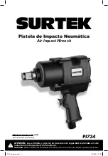 Surtek PI734 User Manual And Warranty preview