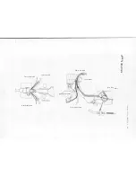 Preview for 63 page of Suzuki FA50 Service Manual