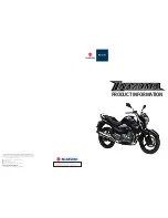 Suzuki Inazuma Product Information предпросмотр