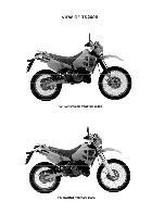 Предварительный просмотр 3 страницы Suzuki TS200R Service Manual