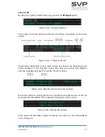 Предварительный просмотр 51 страницы SVP HDR-102 Manual