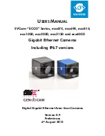 SVS-Vistek eco1050 User Manual предпросмотр