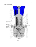 Предварительный просмотр 12 страницы Swagelok BD2 series User Manual