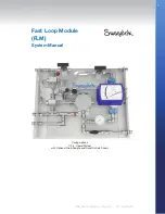 Предварительный просмотр 3 страницы Swagelok Fast Loop Module User Manual