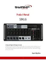 swamp SDM16i Product Manual preview