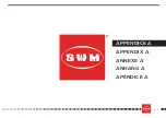 Preview for 295 page of SWM RS 125 R 2016 Manual, Operation, Maintenance