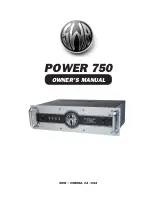 SWR Amplifier POWER 750 Owner'S Manual предпросмотр