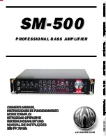 SWR SM-500 Owner'S Manual preview