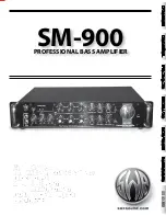 SWR SM-900 Owner'S Manual предпросмотр