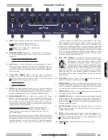 Preview for 19 page of SWR Spellbinder Blue Owner'S Manual