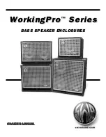 SWR WorkingPro Series Owner'S Manual preview