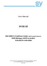 SY SY-SE-10 User Manual предпросмотр