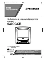 Предварительный просмотр 31 страницы Sylvania 6309CCB Owner'S Manual