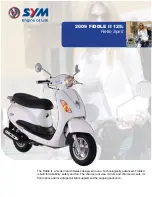 Sym 2009 FIDDLE II 125 Owner'S Manual preview