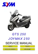 Preview for 1 page of Sym GTS 250 Service Manual